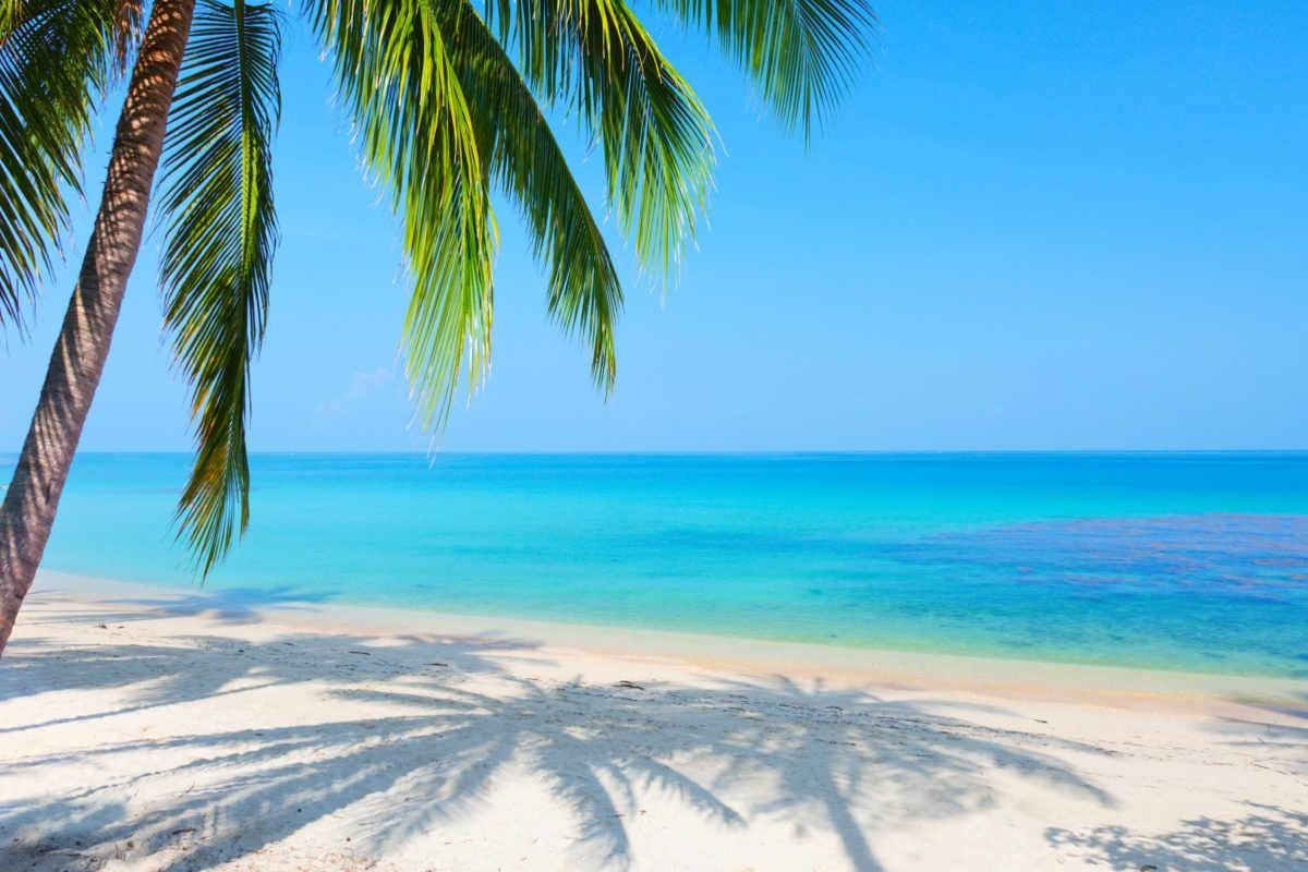 Las 4 mejores playas de Quintana Roo para descubrir playa del secreto