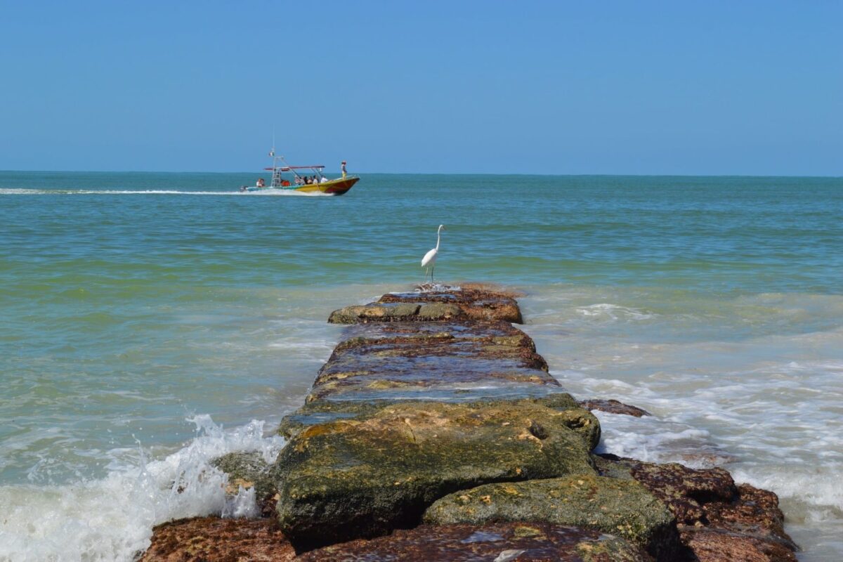 holbox-tours