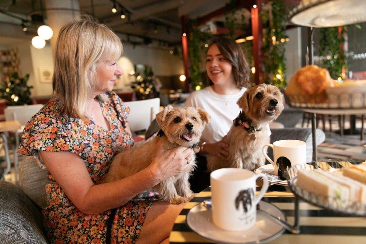 Lugares pet friendly en Acapulco