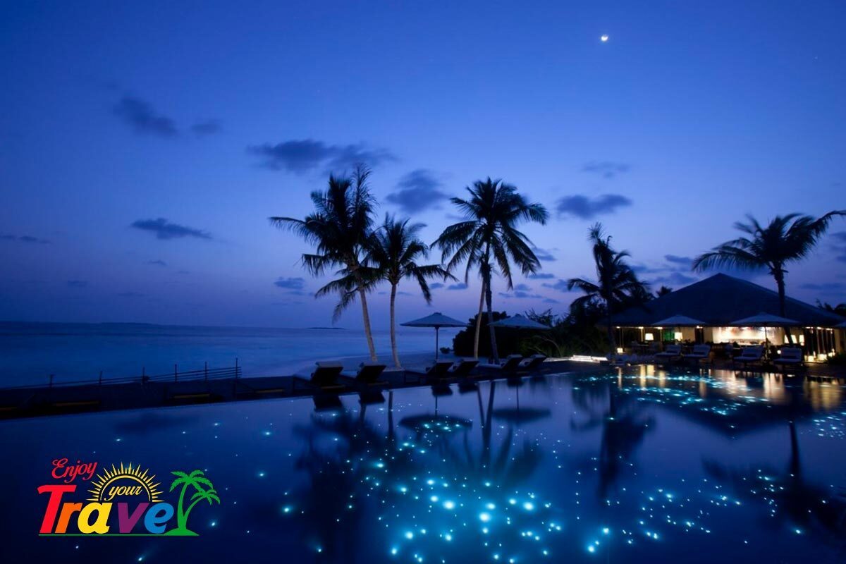 tours nocturnos en cancún - conoce la magia de la noche